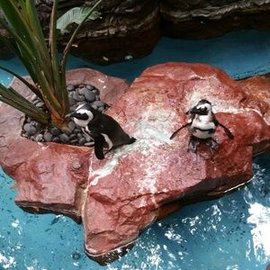 Meet your Posher, Barbie